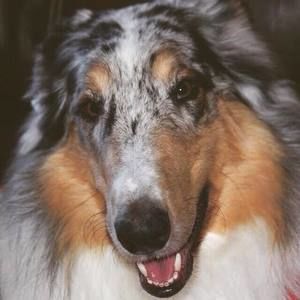 Meet your Posher, Ron